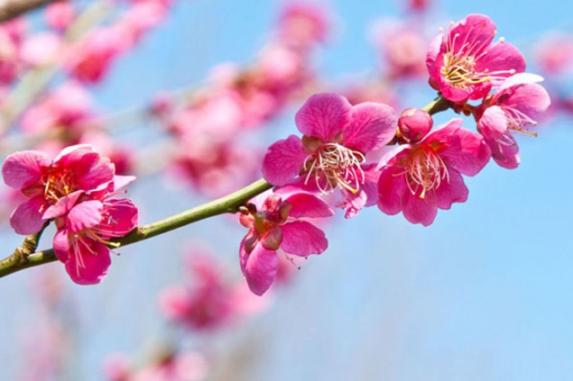 У россиян началась короткая рабочая неделя