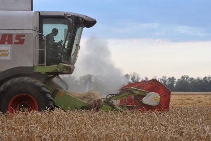 Пошлину на экспорт пшеницы введут с 1 февраля