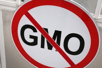 В Госдуму внесен законопроект о запрете на выращивание ГМО в России