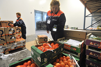 Минсельхоз зафиксировал нехватку ягод и фруктов в России