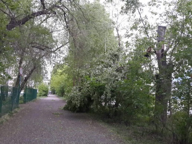 Последствия ураганного ветра