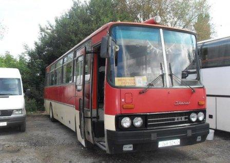 С 1 мая открываются муниципальные «садовые маршруты»