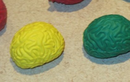 На улице американского городка нашли мозги