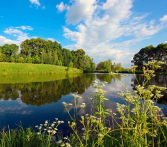 5 июня - Всемирный день охраны окружающей среды