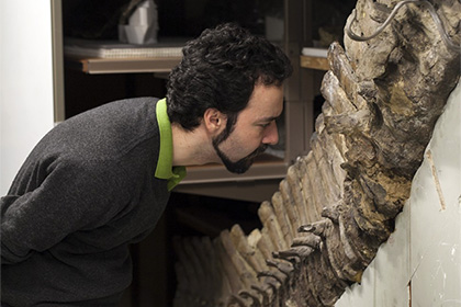 В костях динозавров сохранились клетки возрастом 75 миллионов лет