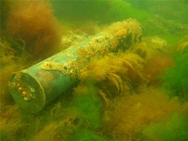Абаканский купальщик нашел в водоеме два десятка снарядов