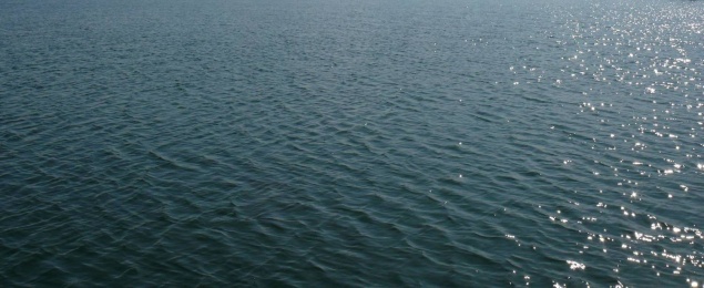 Трехлетняя девочка утонула в Туве