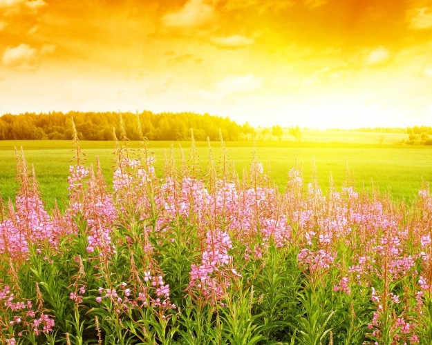 Нас ждет теплая неделя