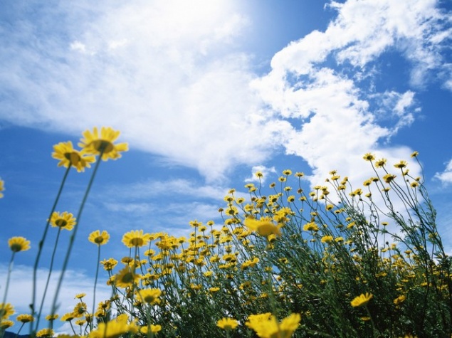 Ачинцев ждут жаркие выходные