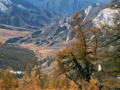 Ущерб от засухи в Туве превысил 32 млн рублей