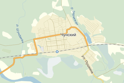 Сбивший насмерть пенсионерку и ребенка водитель сжег машину