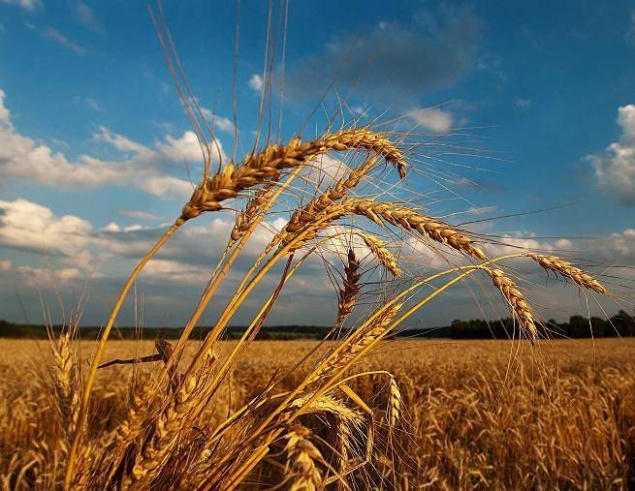 В Ачинск вновь возвращается 30-градусная жара