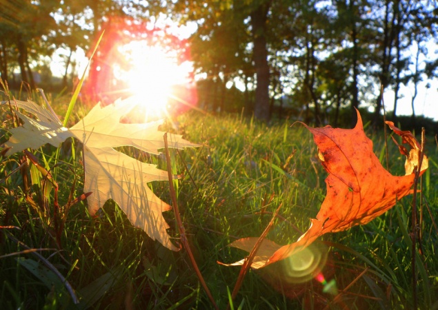 "Бабье лето" ожидается в Ачинске