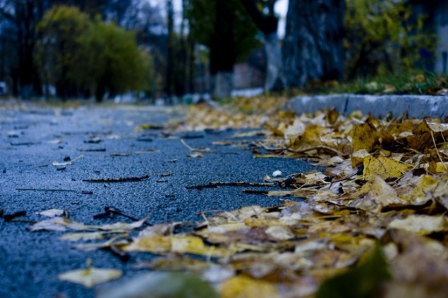 На следующей неделе в Ачинске ожидаются ночные заморозки