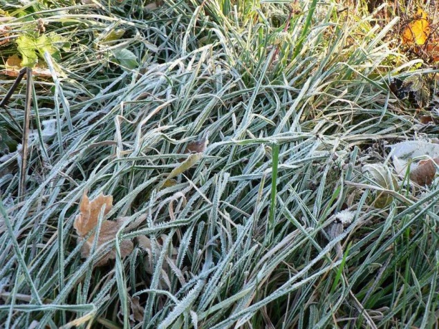 Выходные в Ачинске будут прохладными