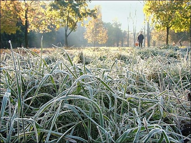 В четверг в Ачинск придут заморозки и снег