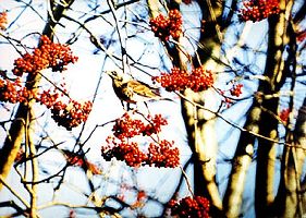 Синоптики пообещали теплые выходные