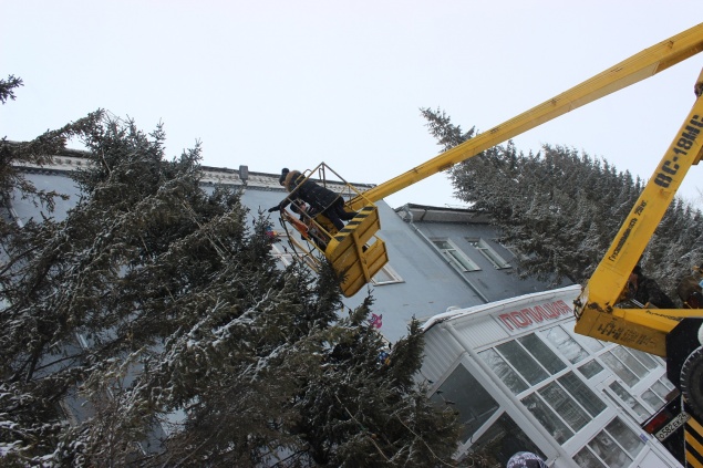 Ачинская полицейская ёлка зажглась огнями
