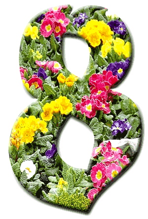 В Ачинске пройдет ряд мероприятий, посвященных Международному женскому дню