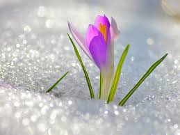 Уже в среду в Ачинск придет тепло