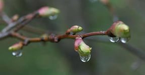 Синоптики прогнозируют потепление до +7