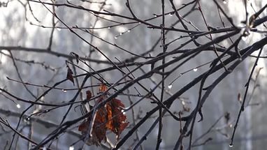 В Ачинск ненадолго придет похолодание