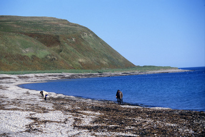 Жители островов на Камчатке столкнулись с дефицитом молока и фруктов