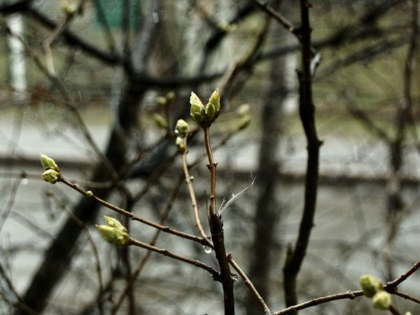 Нас ждут дождливыеи прохладные выходные
