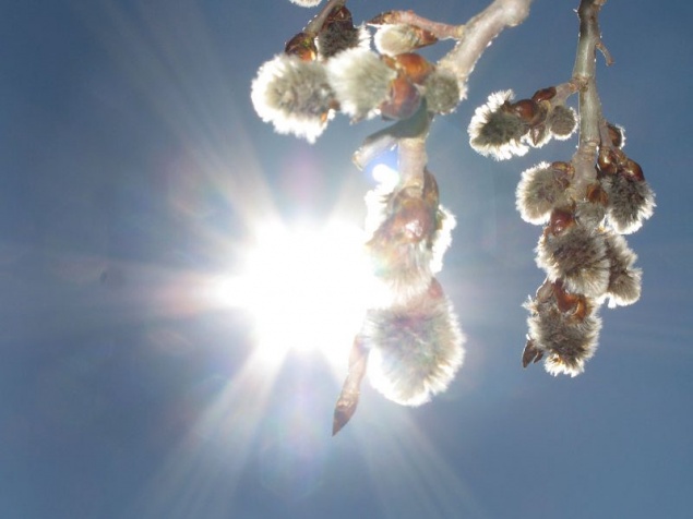 Синоптики пообещали до +19 и дожди