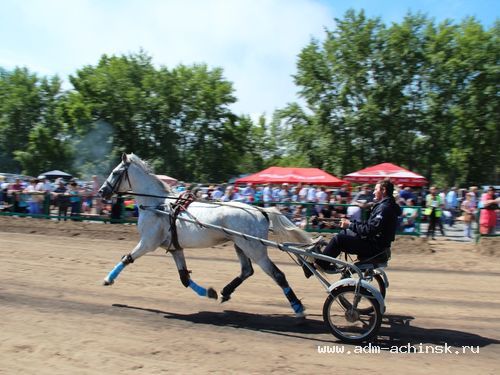 Конноспортивные соревнования пройдут в Ачинске в дни празднования Дня города