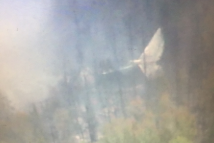 Названа главная версия крушения Ил-76 в Иркутской области