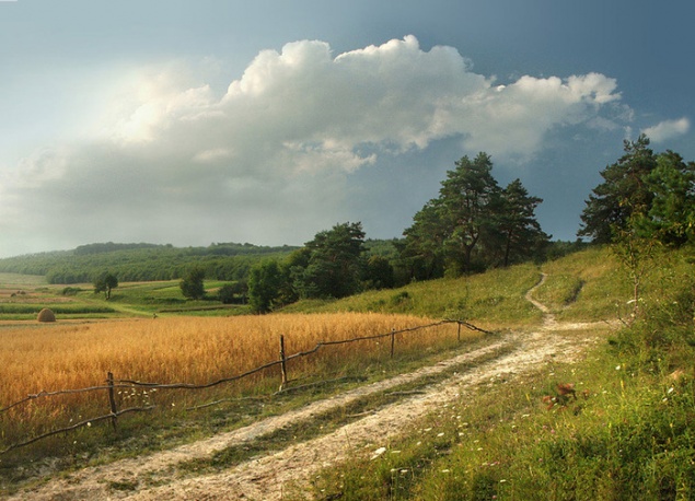 В Ачинске эта рабочая неделя будет дождливой и прохладной