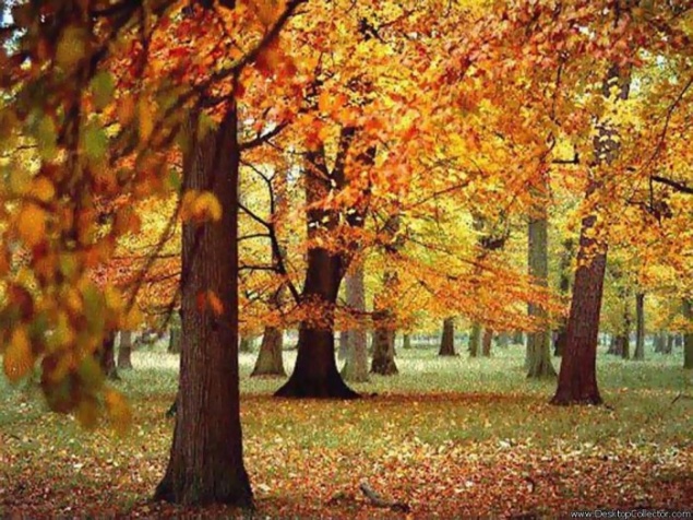 Грядущие выходные порадуют ачинцев теплом