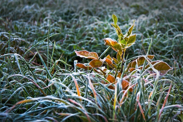 В Ачинск идет похолодание