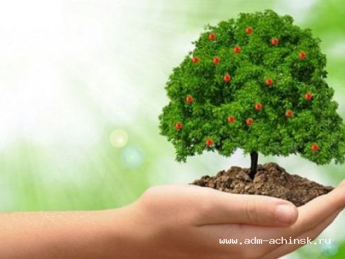 Ачинцев приглашают принять участие в экологической акции «Зеленая 1000»