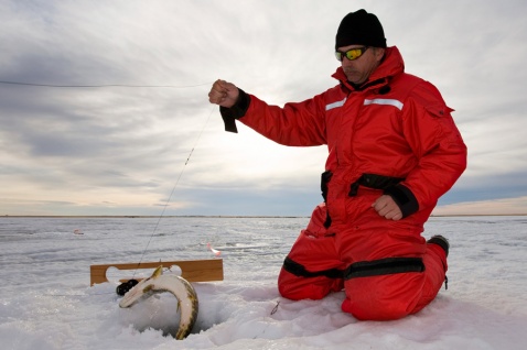 Ачинцам скажут, можно ли есть рыбу