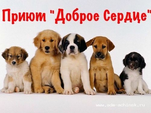 Добровольцев приглашают вступить в «Отряды Доброго сердца»