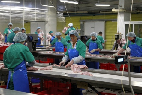 Желающих купить «Индюшкино» за 812 млн рублей не нашлось