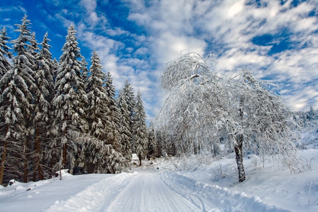 30-градусные морозы продержатся в Ачинске  до среды