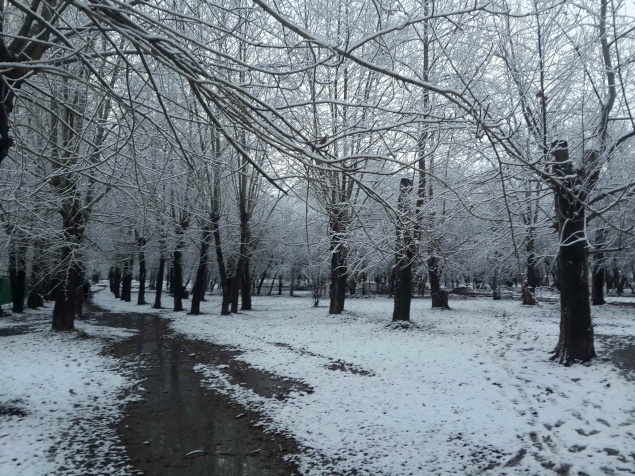 Администрация города приглашает жителей принять участие в конкурсе