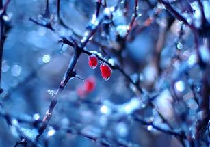 Очень серьезное потепление идет в Ачинск