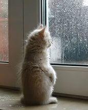 В Ачинск возвращается тепло