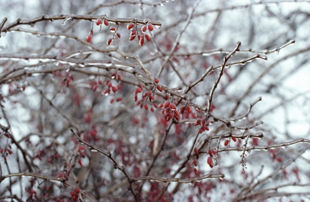 В Ачинске тепло продержится до середины рабочей недели