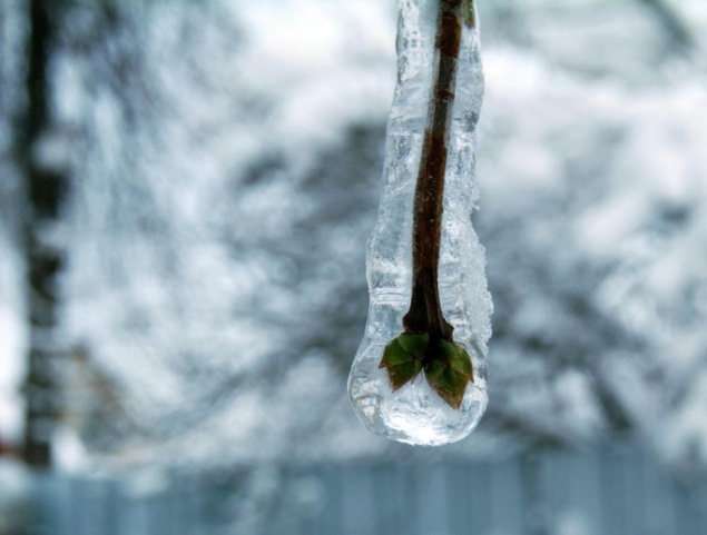 Потепление до +7 приходит в Ачинск