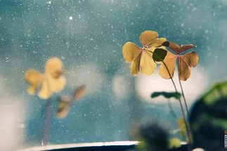 Теплые выходные с весенним дождем пообещали синоптики