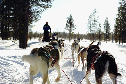 Названа самая безопасная страна в мире