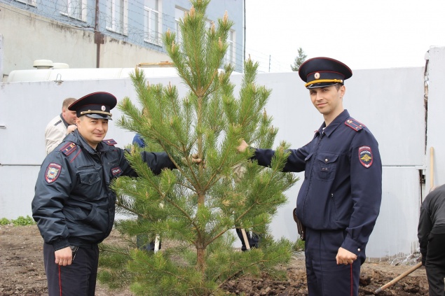 В Ачинске полицейские и ветераны ОВД приняли участие в акции «Сбережем лес вместе»