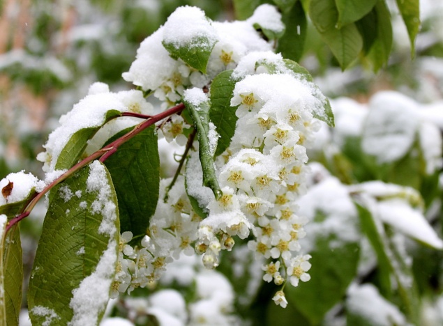 Предупреждение об опасных и неблагоприятных условиях погоды 18 мая