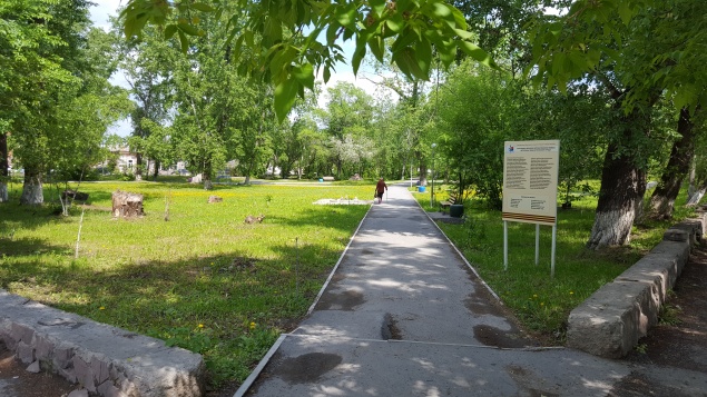 На территориях городских скверов и парков произведут акарицидную обработку