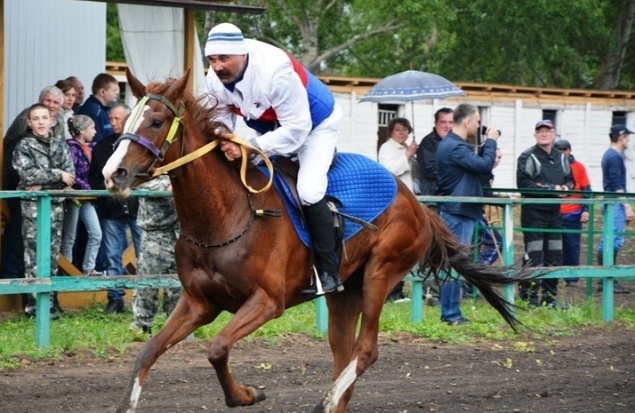Ачинский ипподром «Аргамак» открыл летний сезон масштабным конноспортивным праздником